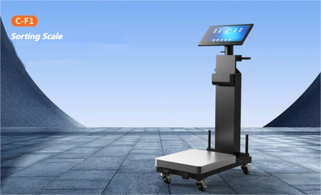 Hanin Mobile Sorting Integrated Scale